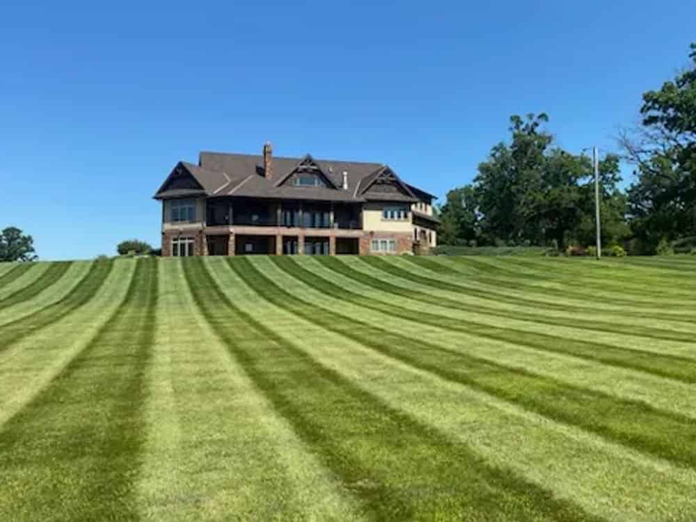 Lawn Care image