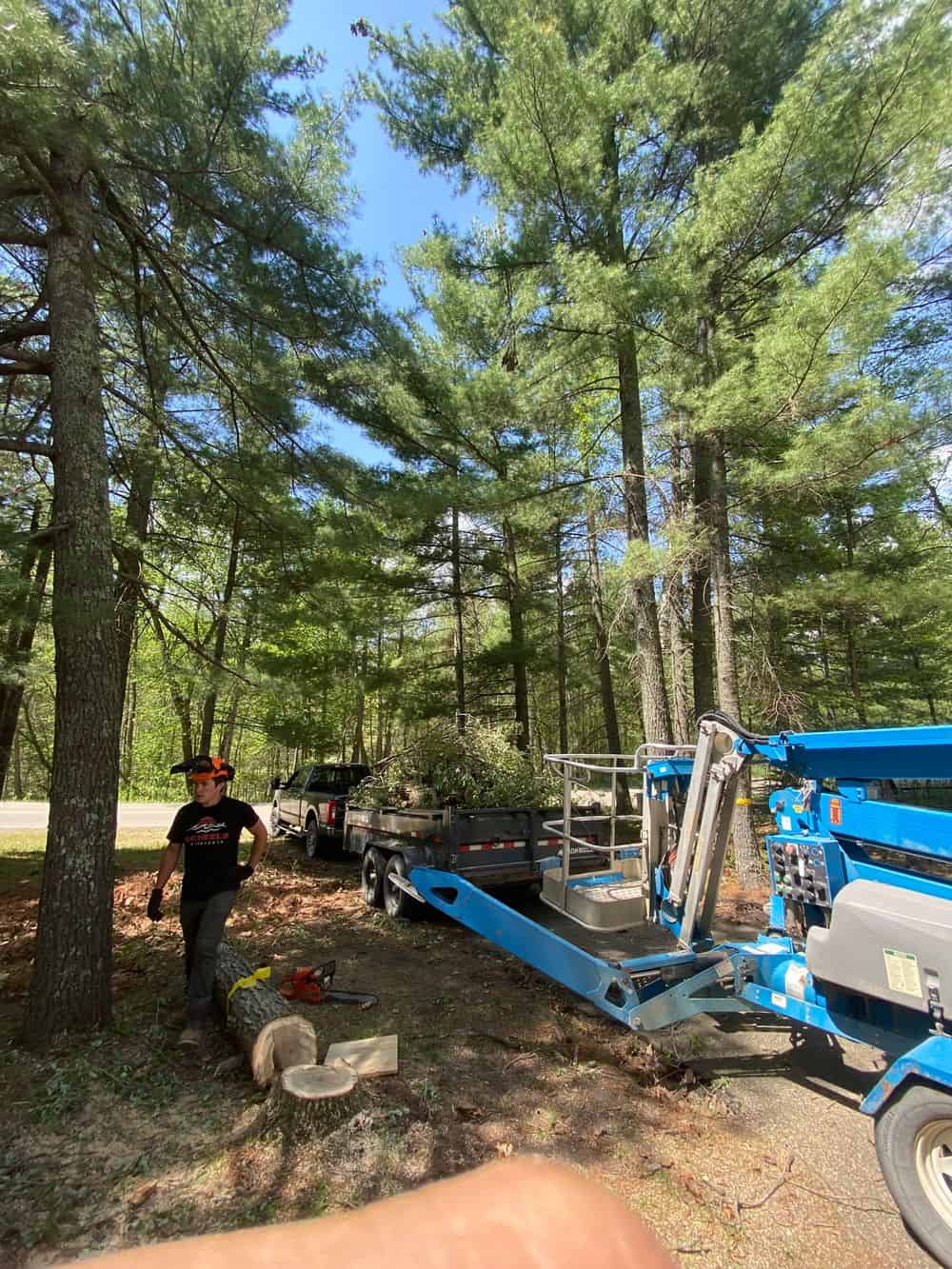 Tree Trimming image