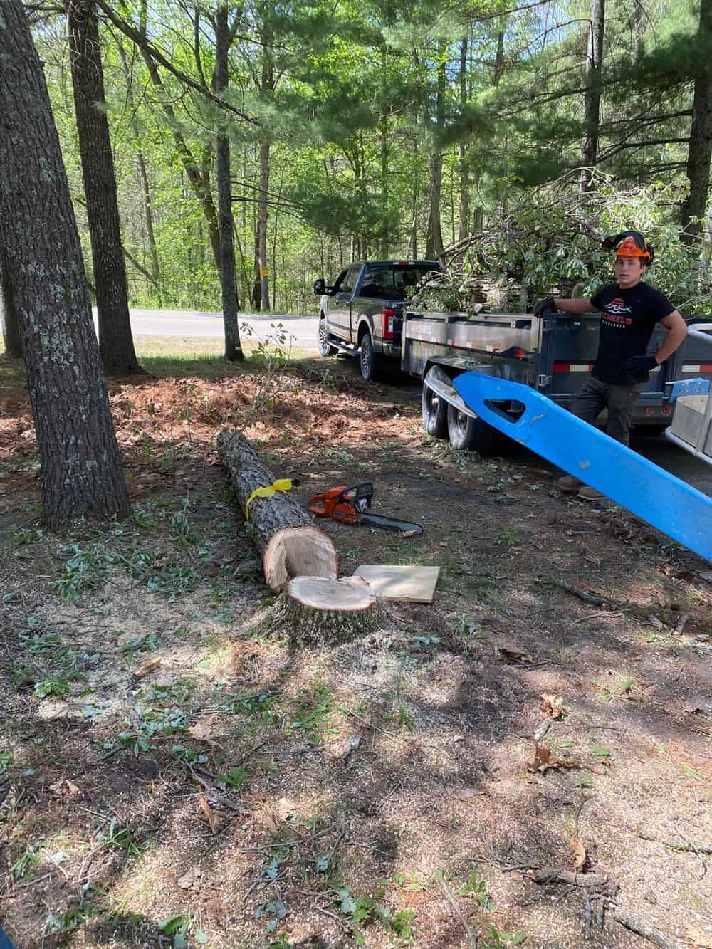 Stump Grinding image