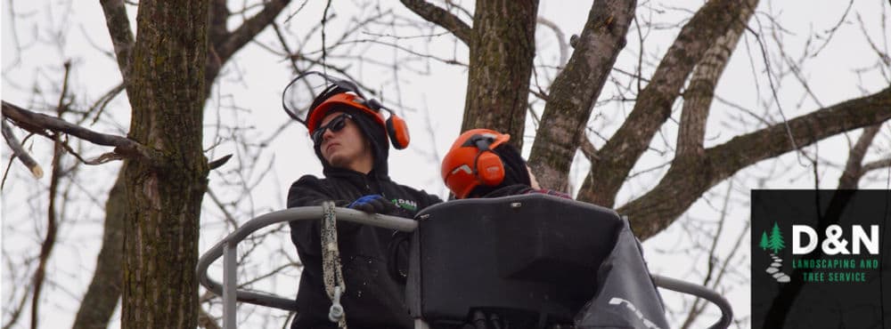 About D & N Landscaping and Tree Service